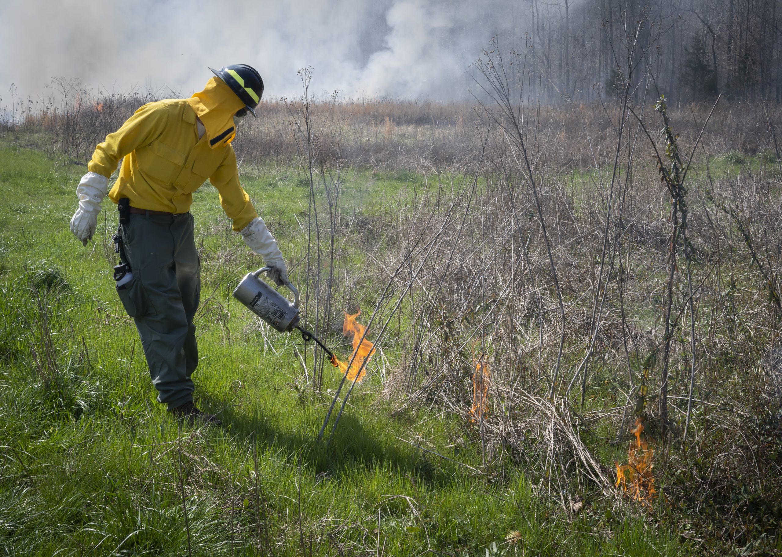 Indigo Roper-Edwards applies fire to the Confluence Natural Area on March 13, 2024.
